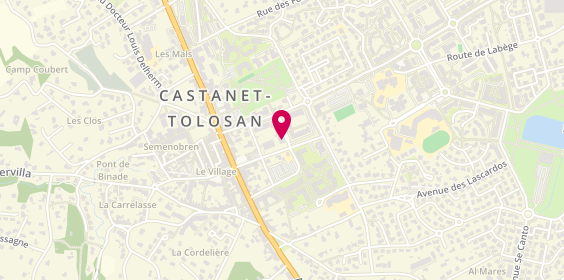 Plan de Alla Taverna Della Pizza, 2 place Gaspard de Fieubet, 31320 Castanet-Tolosan