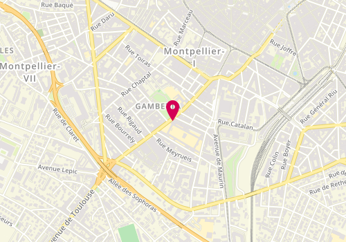 Plan de Robbin, 29 avenue Georges Clemenceau, 34000 Montpellier