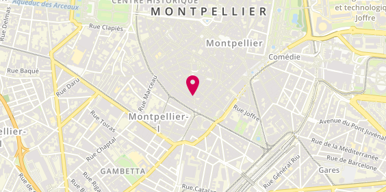 Plan de Dopamine, 14 Rue de la Fontaine, 34000 Montpellier