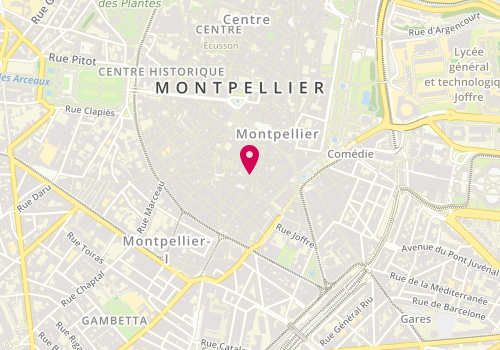 Plan de Nina, 6 Rue Jacques d'Aragon, 34000 Montpellier