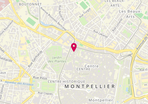 Plan de Smoky, 32 Rue du Cardinal de Cabrières, 34000 Montpellier