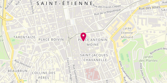 Plan de Pitaya, 15 Rue des Martyrs de Vingré, 42000 Saint-Étienne