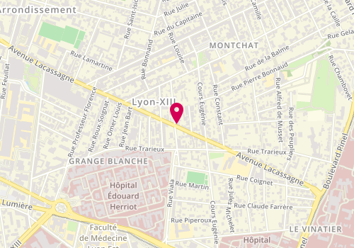 Plan de Pollen, 197 avenue Lacassagne, 69003 Lyon