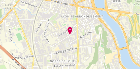 Plan de Queenstown, 56 Rue Saint-Pierre de Vaise, 69009 Lyon