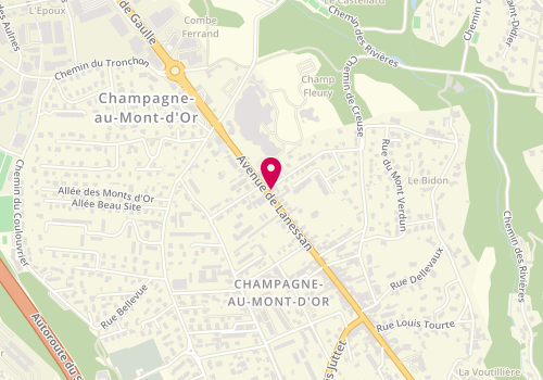 Plan de Croque de Pierre, 86 Bis Avenue de Lanessan, 69410 Champagne-au-Mont-d'Or