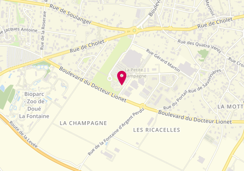 Plan de Mc Donald's, 840 Boulevard Du
Boulevard Dr Lionet, 49700 Doué-la-Fontaine