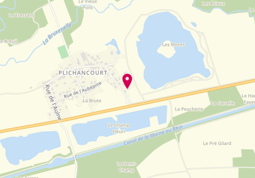Plan de LEFER Christiane, 4 Chemin des Monts, 51300 Plichancourt