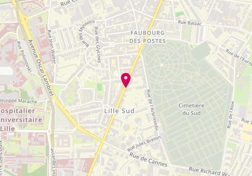 Plan de Sud Baguette, 173 Rue du Faubourg des Postes, 59000 Lille