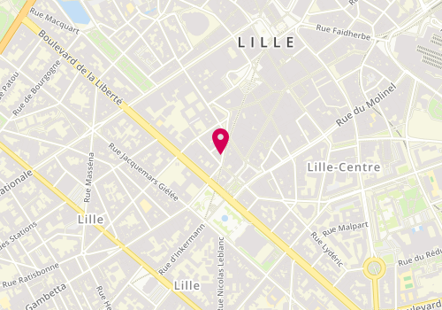 Plan de L'île Aux Burgers, 8 Rue Georges Maertens, 59800 Lille